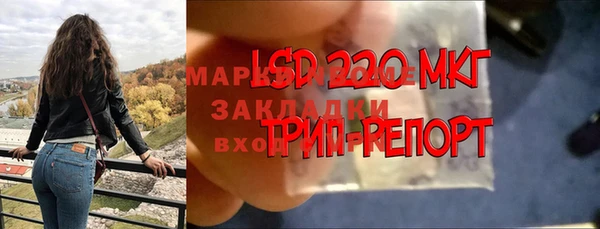 spice Беломорск