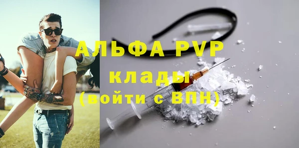 spice Беломорск