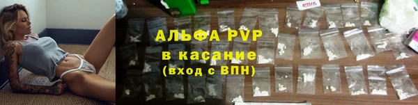 spice Беломорск