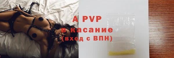 spice Беломорск