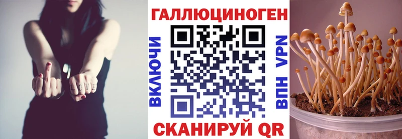 Псилоцибиновые грибы Magic Shrooms мега онион Шарыпово магазин наркотиков